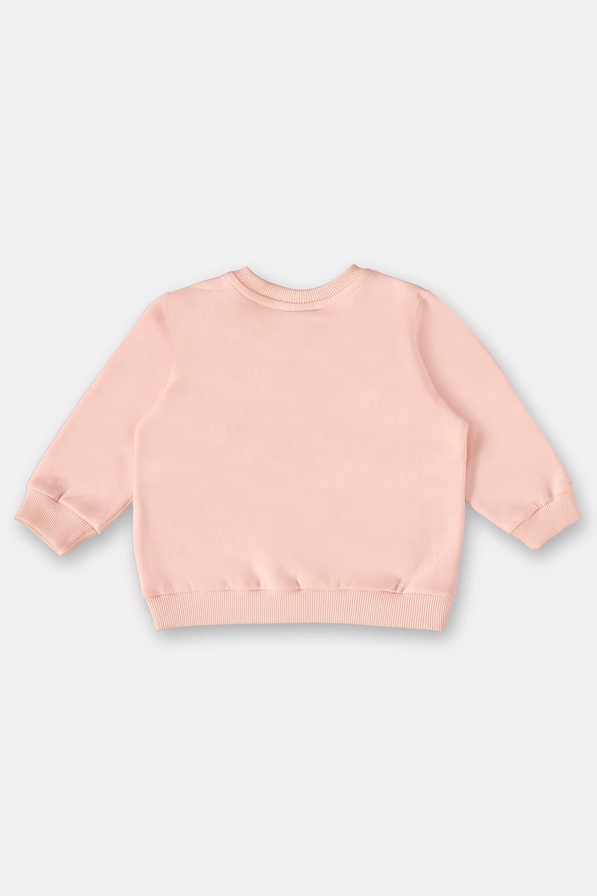 2 Piece Girls Dino Sweatshirt & Pants