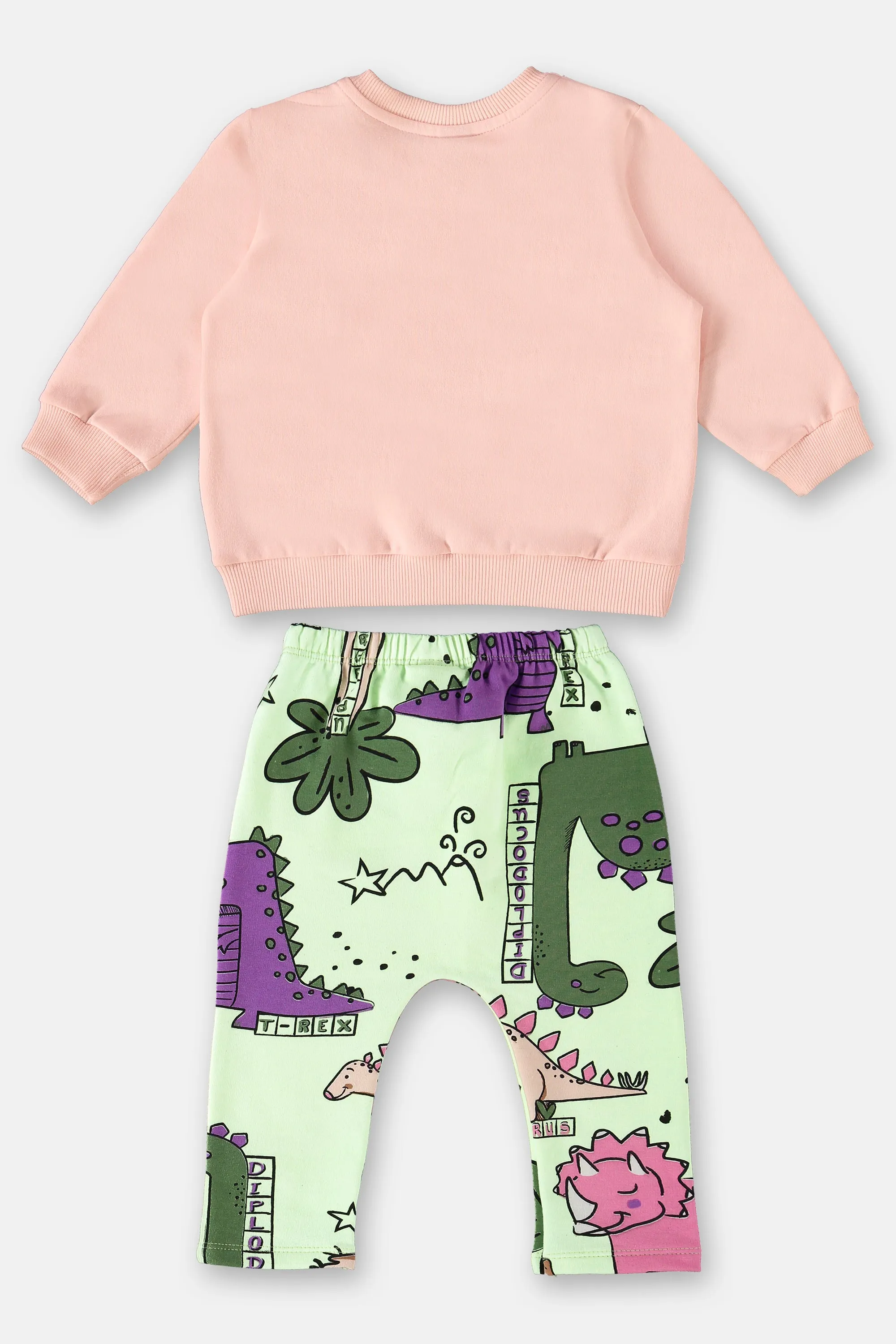 2 Piece Girls Dino Sweatshirt & Pants
