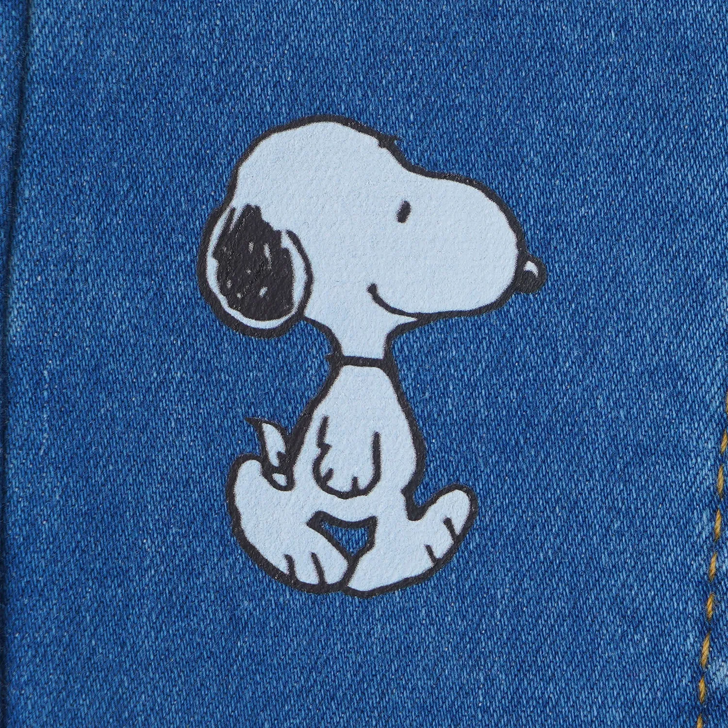 Boys Pant Denim Character- Mid Blue