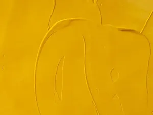 Cadmium Yellow artists oil color