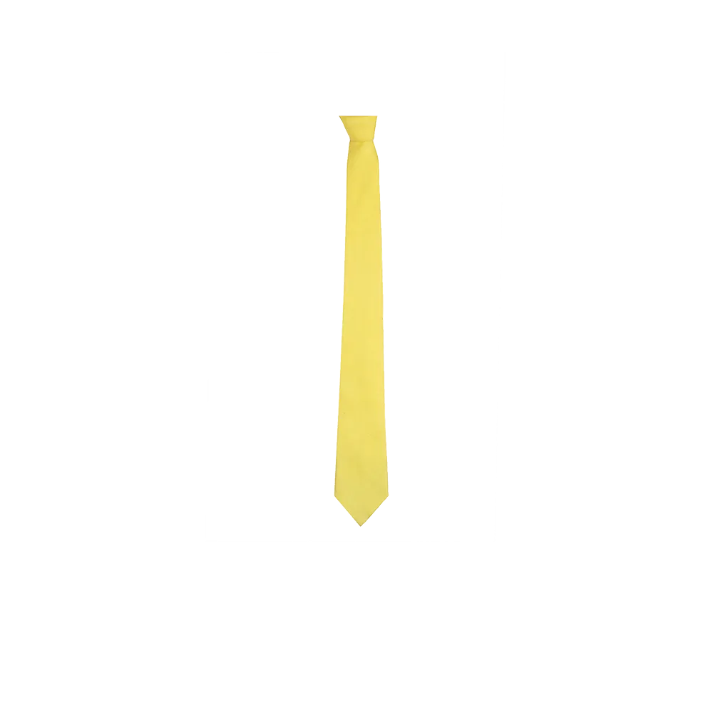 Chokore Yellow color silk tie & Yellow & Lemon Yellow Pure Silk Pocket Square set
