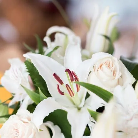 Innocent Love with Lilies and Roses