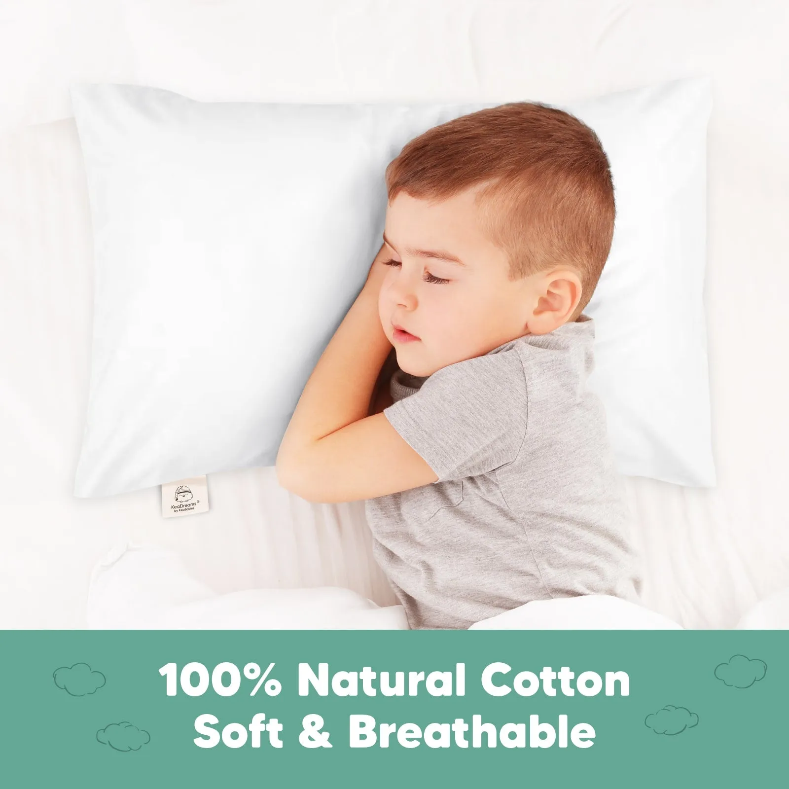 Printed Toddler Pillowcase 13X18" (Soft White)